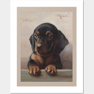 Young Dachshund by Carl Reichert Posters and Art